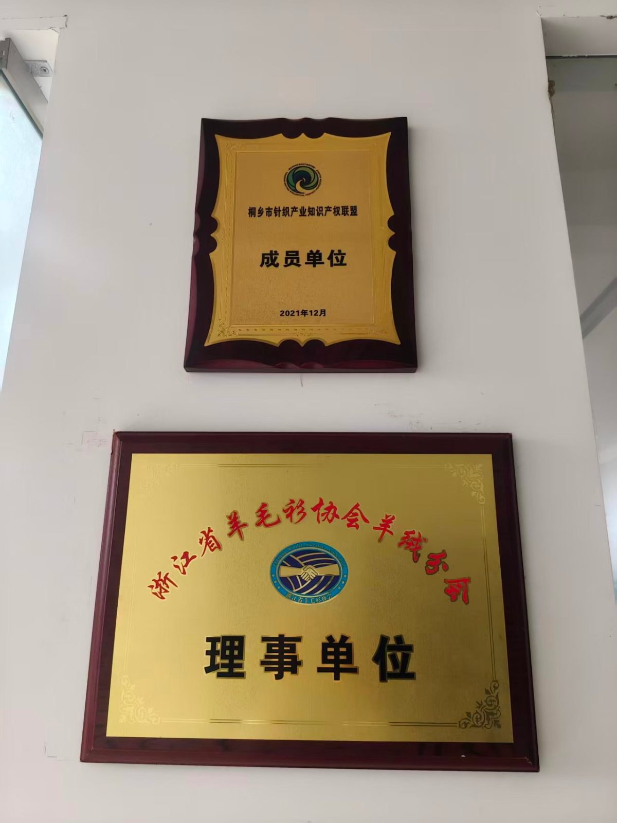 嘉兴市曼玥服饰科技有限公司 · 企业荣誉 第1张